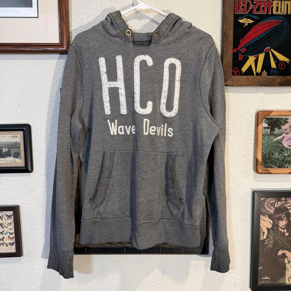 Vintage 90s/00s Ultra RARE Hollister Wave Devils Embroidered Surf Hoodie Size XL
